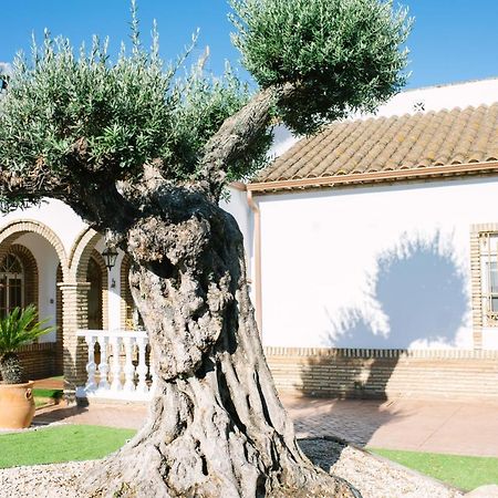 Casa Luxury "El Olivo De Cordoba" Con Jacuzzi Y Parking Privado Pension Buitenkant foto