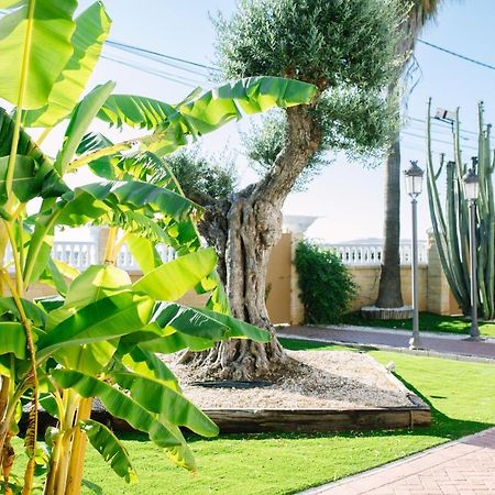 Casa Luxury "El Olivo De Cordoba" Con Jacuzzi Y Parking Privado Pension Buitenkant foto