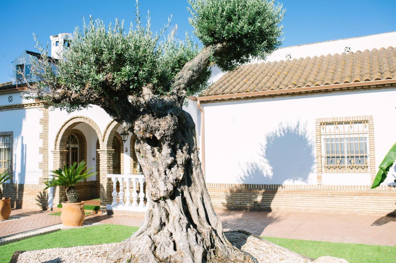 Casa Luxury "El Olivo De Cordoba" Con Jacuzzi Y Parking Privado Pension Buitenkant foto