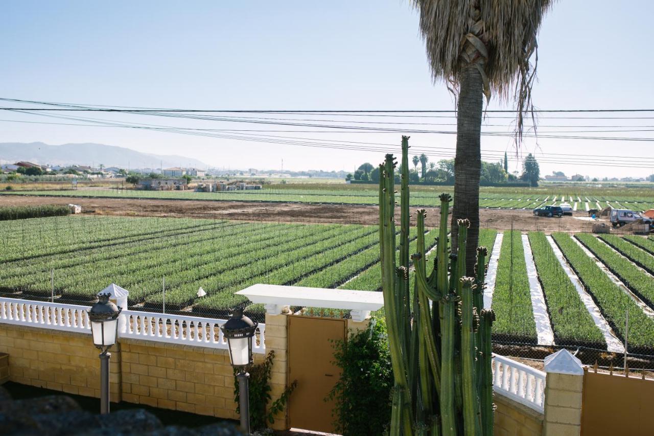 Casa Luxury "El Olivo De Cordoba" Con Jacuzzi Y Parking Privado Pension Buitenkant foto