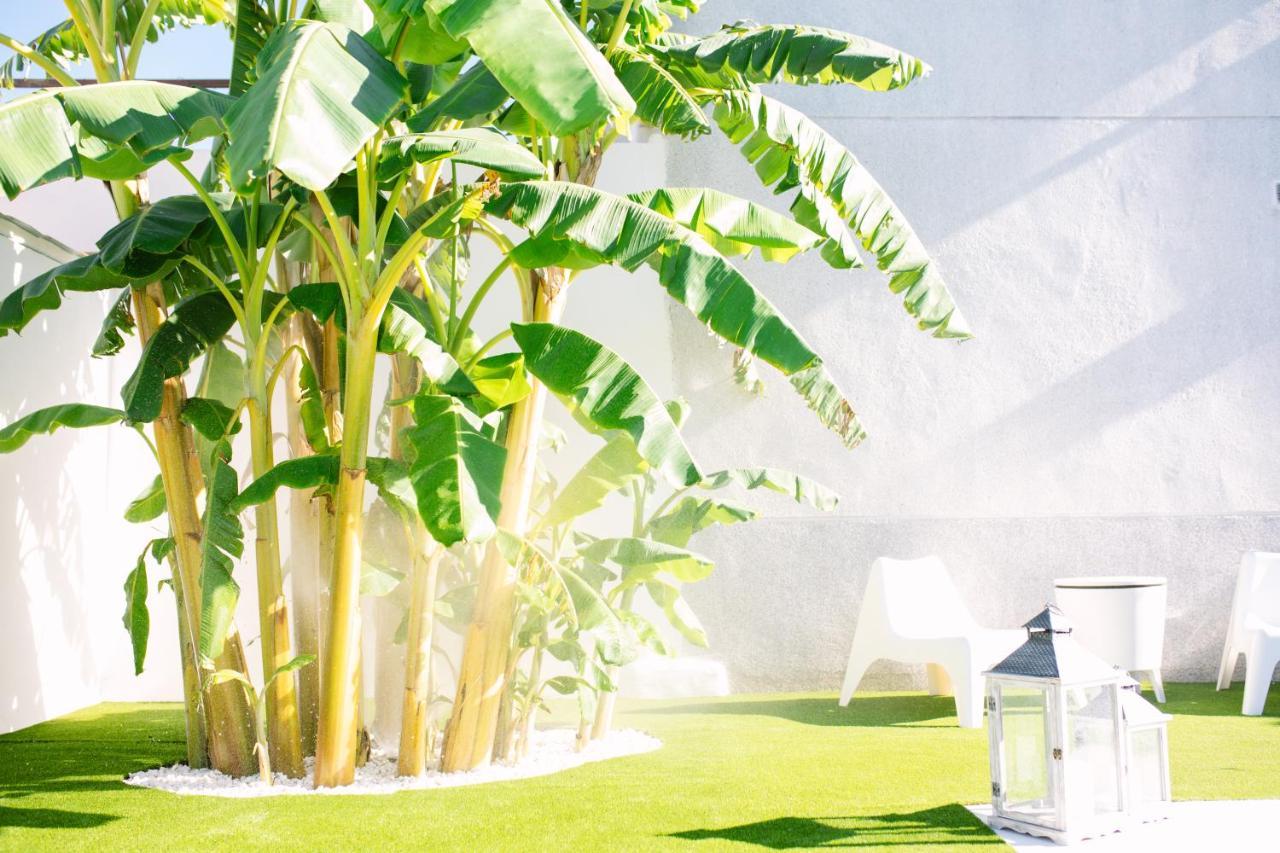 Casa Luxury "El Olivo De Cordoba" Con Jacuzzi Y Parking Privado Pension Buitenkant foto